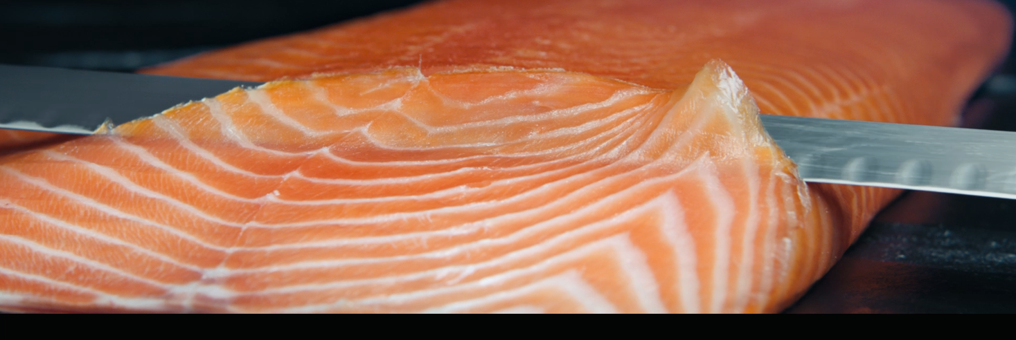 SALMON