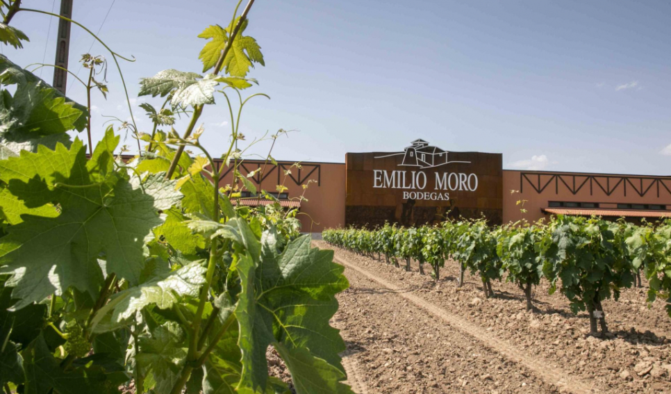 bodegas emilio moro 1