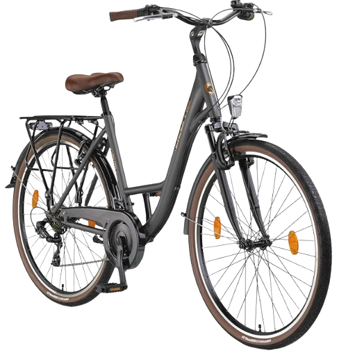 Licorne Bike Violetta Premium City Bike en 24,26 y 28 pulgadas - Bicicleta para niñas, niños, hombres y mujeres - 21 velocidades - Bicicleta holandesa