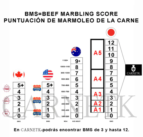 En esta tabla podrás ver de manera gráfica y útil sobre cómo se comparan estos sistemas entre sí: